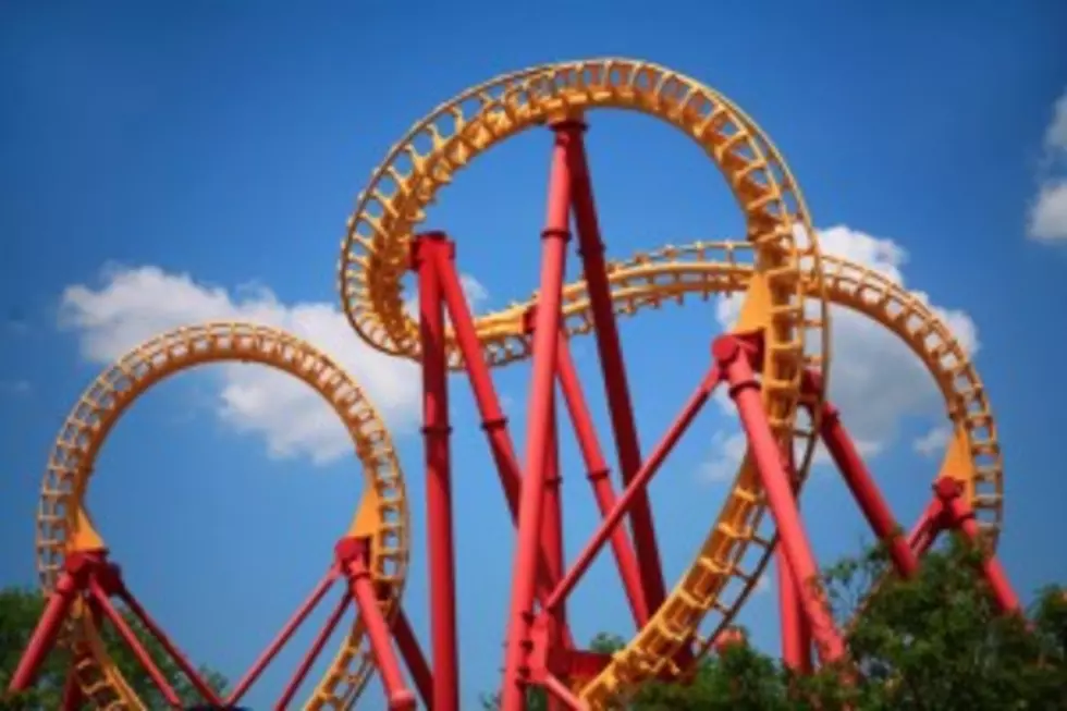 Michigan Amusement Park Will Celebrate National Roller Coaster Day