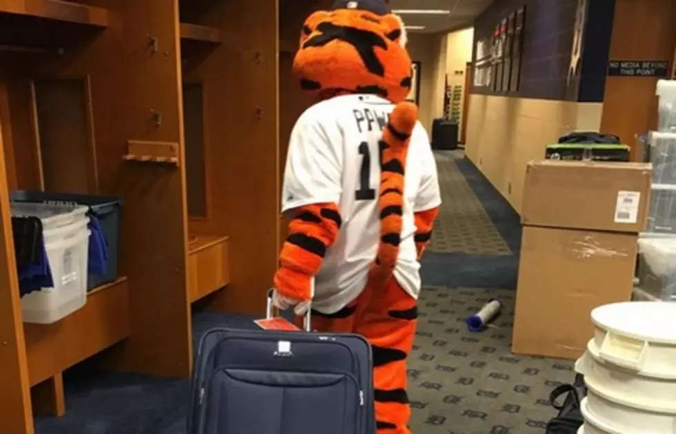 The Detroit Tigers Are Ready For Some Spring Training Baseball