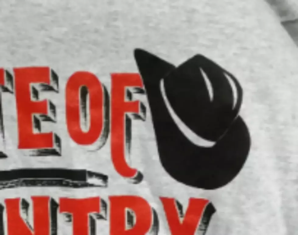 Taste of Country – Lansing: First Look at 2016’s Designer T-Shirts
