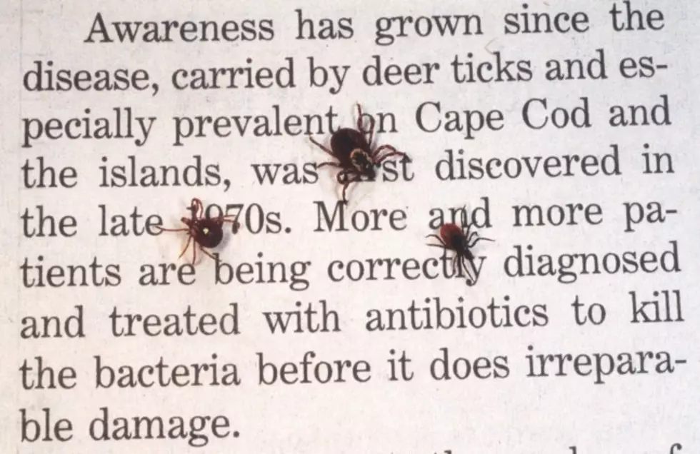 Summer’s Almost Here in Michigan – And So Are Lone Star Ticks