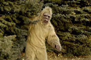Bigfoot Spotted In Da U.P.