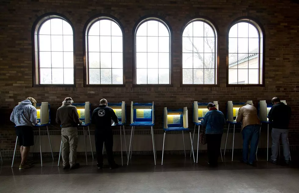 Here&#8217;s How To See A Sample Ballot For Where You Live In Michigan