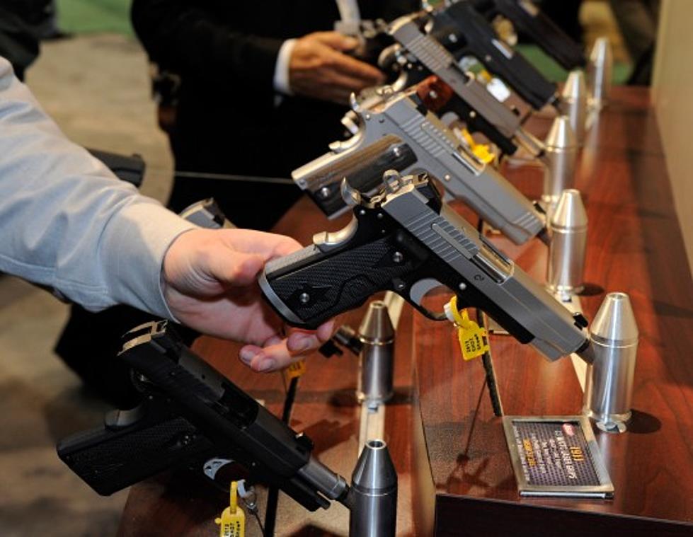 Michigan gun ownership – Less than Alaska but more than Delaware