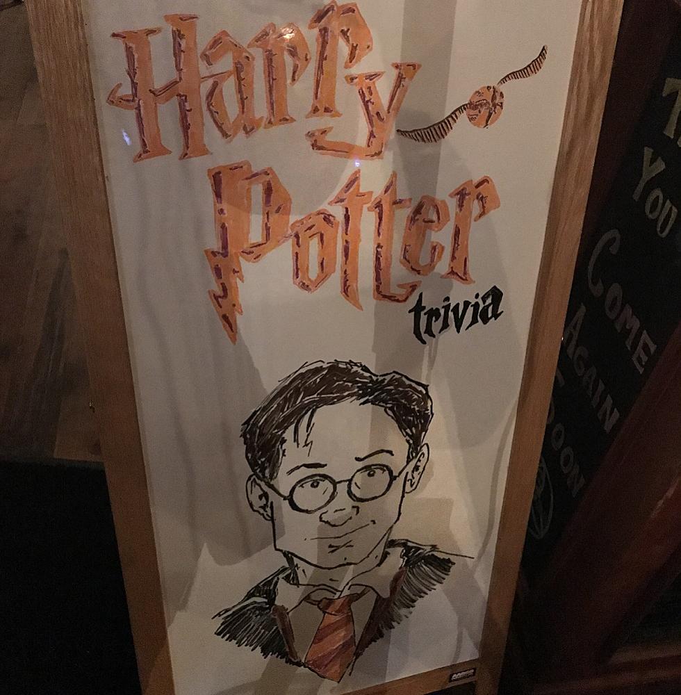 Calling All Harry Potter Fans!