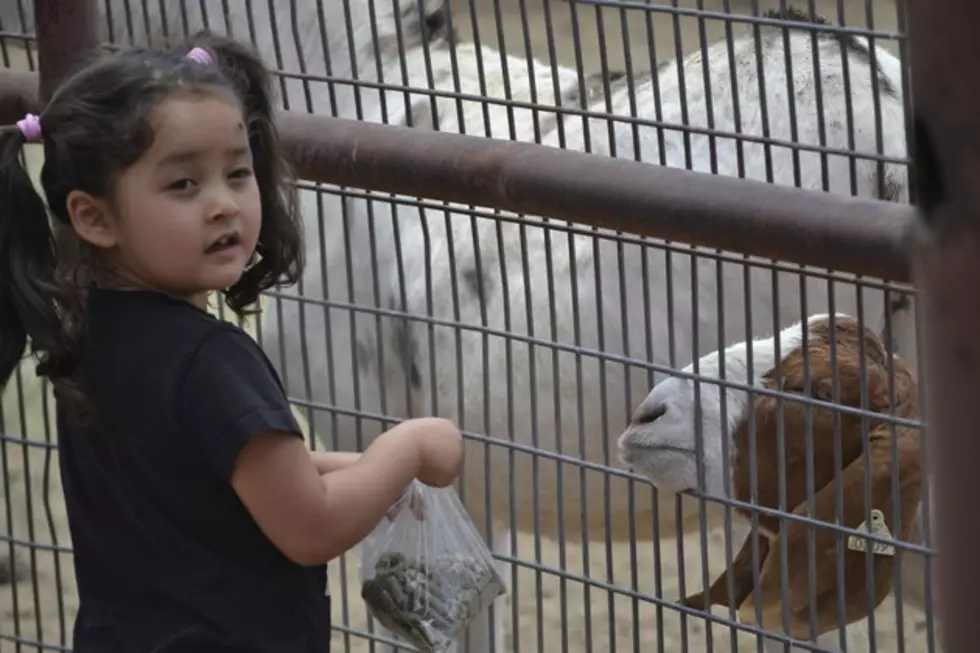 Visit Lansing’s Potter Park Zoo For Just $1