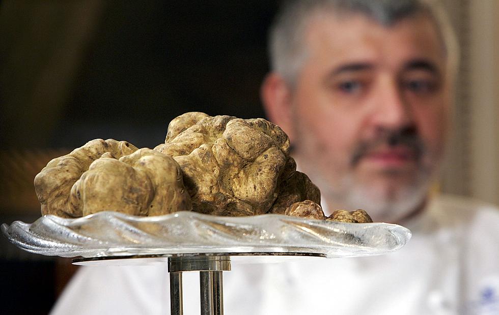 Truffles selling for $3200 a pound – Hello? MSU?