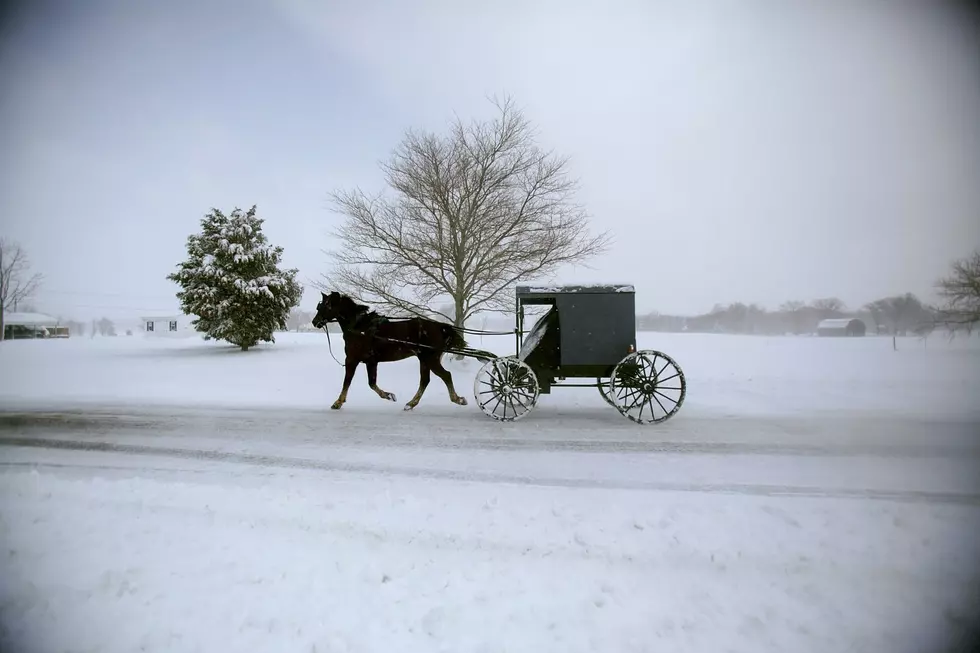 Michigan Amish buggy skier video goes viral