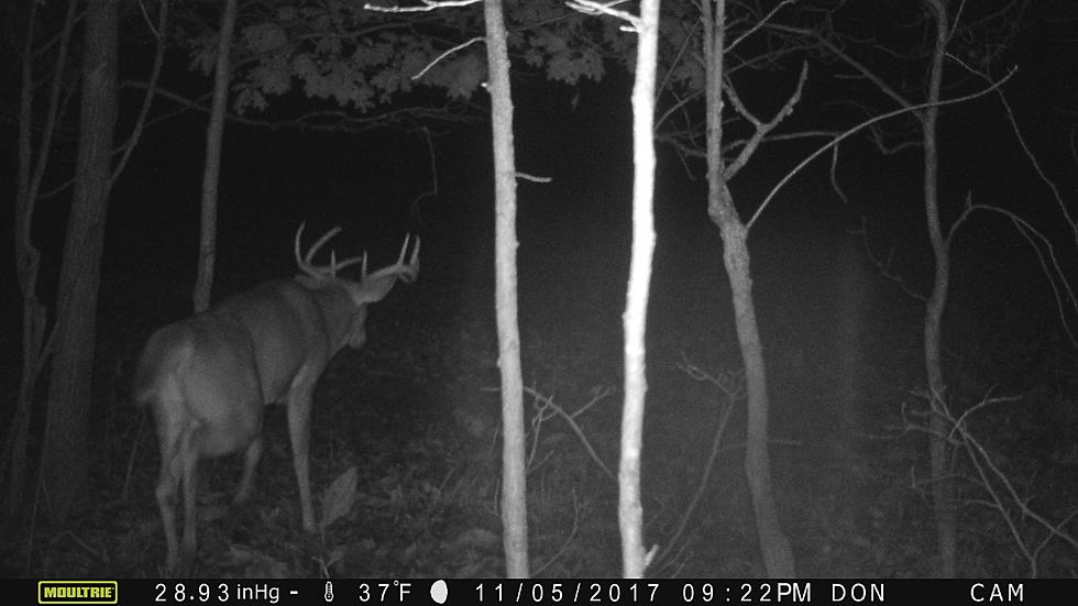 Michigan Town Gets Extra Deer Hunting Season