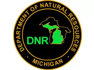 Giant Fish Fry Thwarted by Michigan DNR