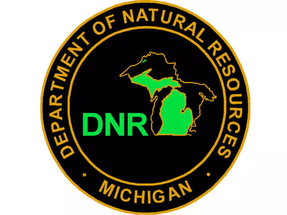 DNR: Quit Stacking Rocks Up North – You’re Killing Stoneflies!