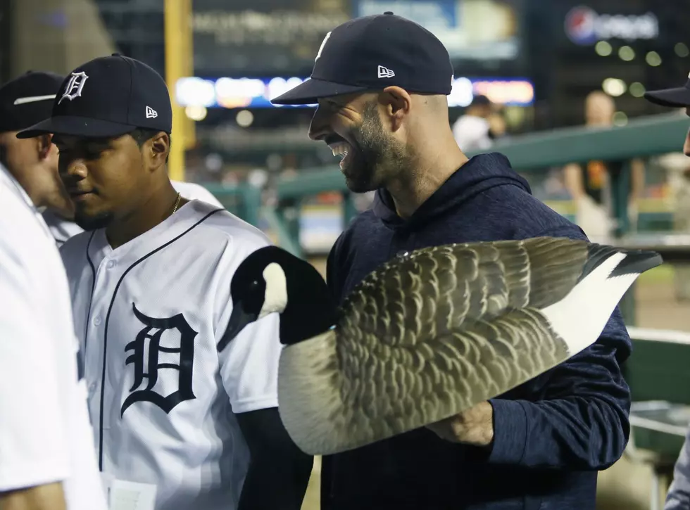 Meet the New Detroit Tiger and the New (Maybe) Lugnut