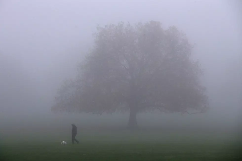 Dense Fog This Morning For The Lansing Area