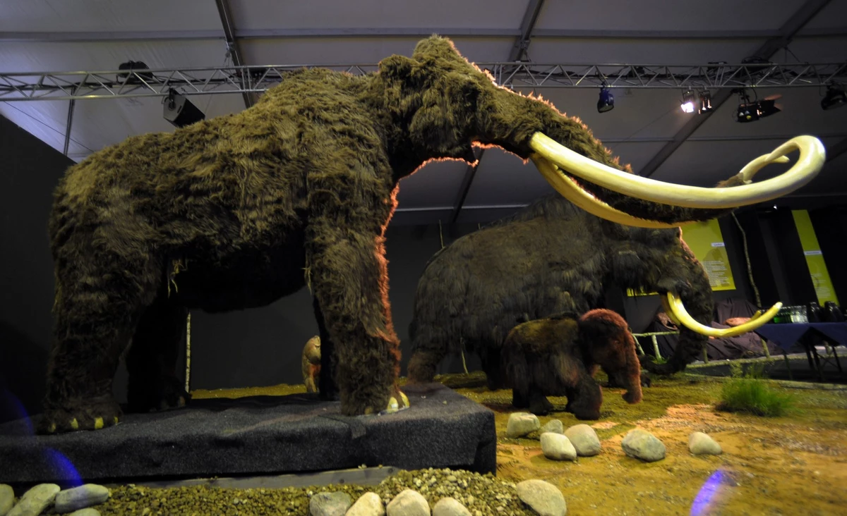 My Woolly Mammoth Park in the Upper Peninsula Will Happen - Soon