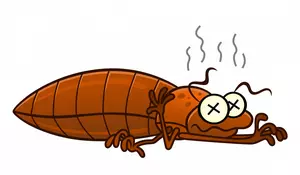Congrats Lansing &#8211; You Made the List &#8211; The Bedbug List