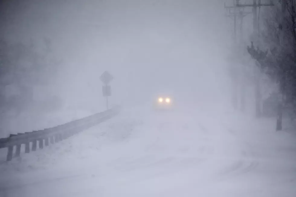 Who Got How Much Snow in Michigan?
