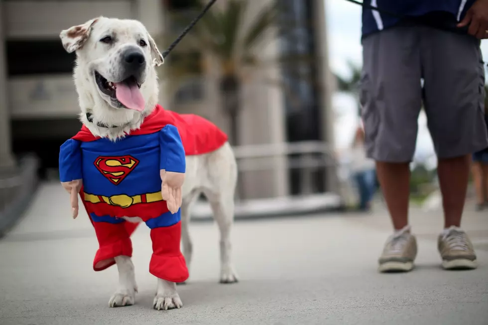 Cosplay From Your Friends at the 2019 Motor City Comic Con