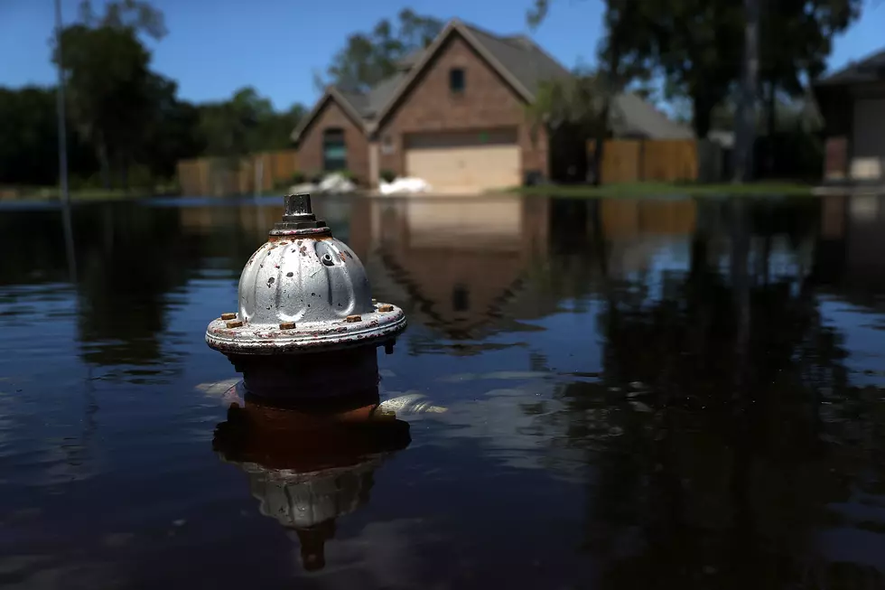 Flood Watch In Effect For Lansing Area