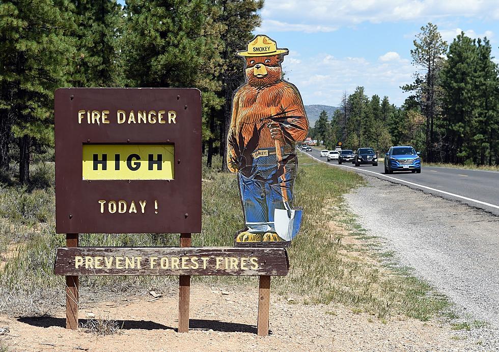 Michigan Hosts 75th Birthday Party for Smokey Bear