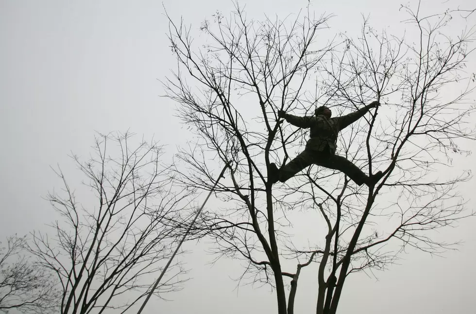 This Weekend&#8217;s Highlight &#8211; Michigan Tree Climbing Championship