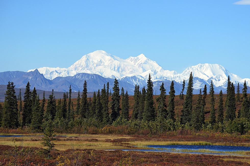 Alaskan Moose Hunter Wins in Supreme Court &#8211; But It Was Expensive