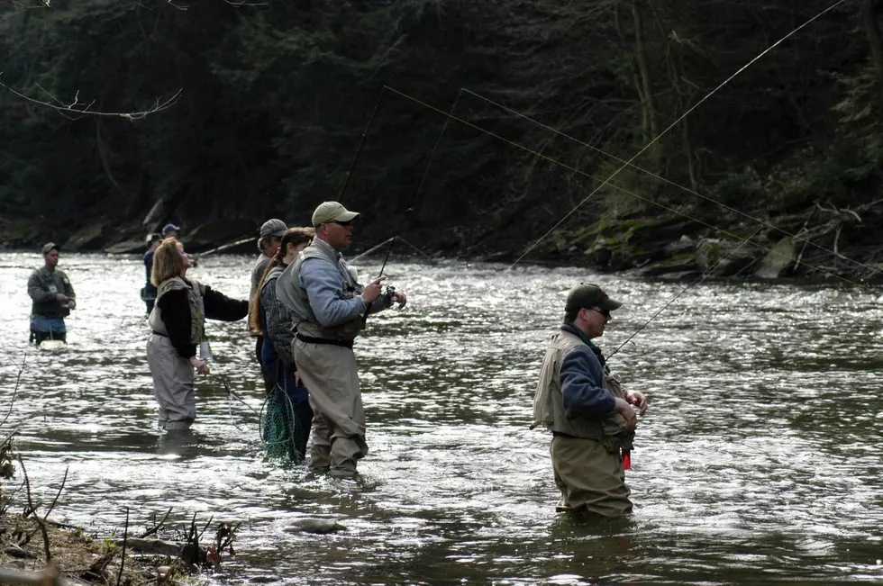 There’s a Place Called “Big Wild” in Michigan – And It’s Growing