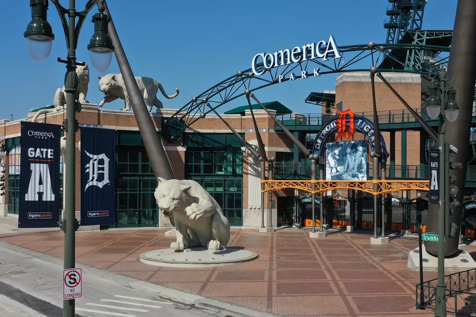 Tigers Baseball: When And Where You Can Hear It In Lansing