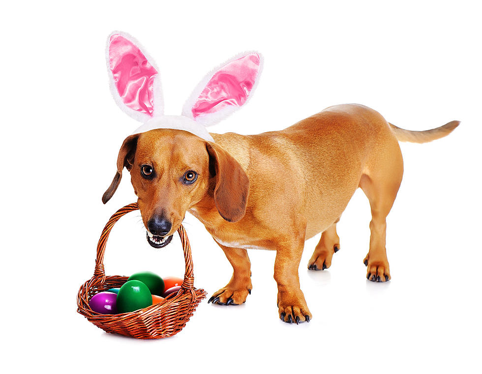 Tips on How to Celebrate Easter During Social Distancing