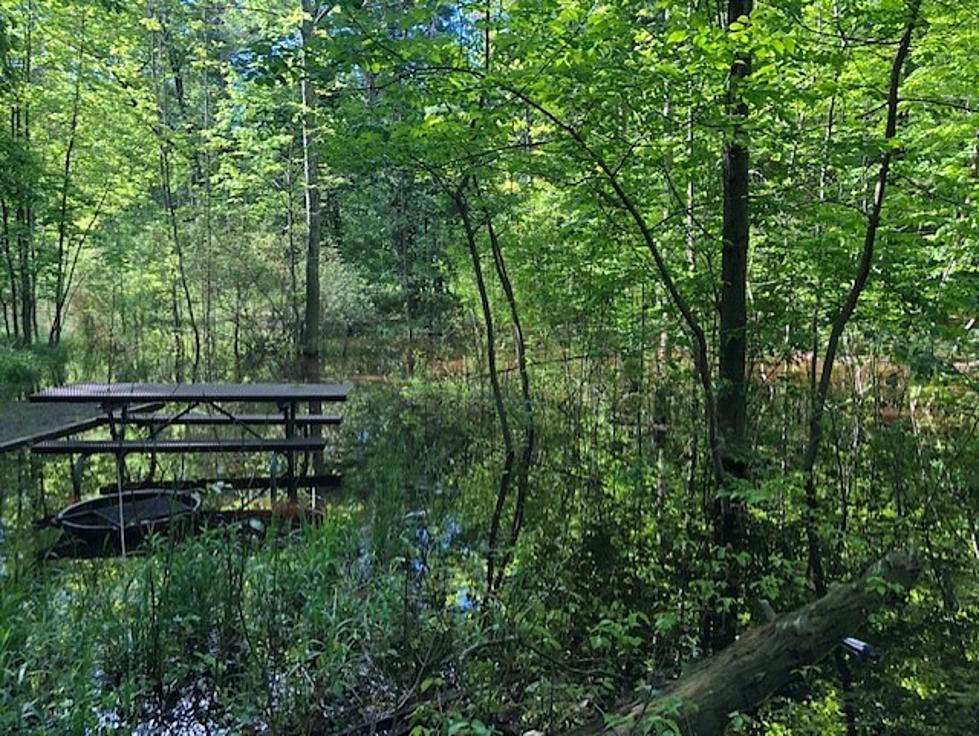 Parts of Sleeping Bear Dunes Flooded By High Lake Levels