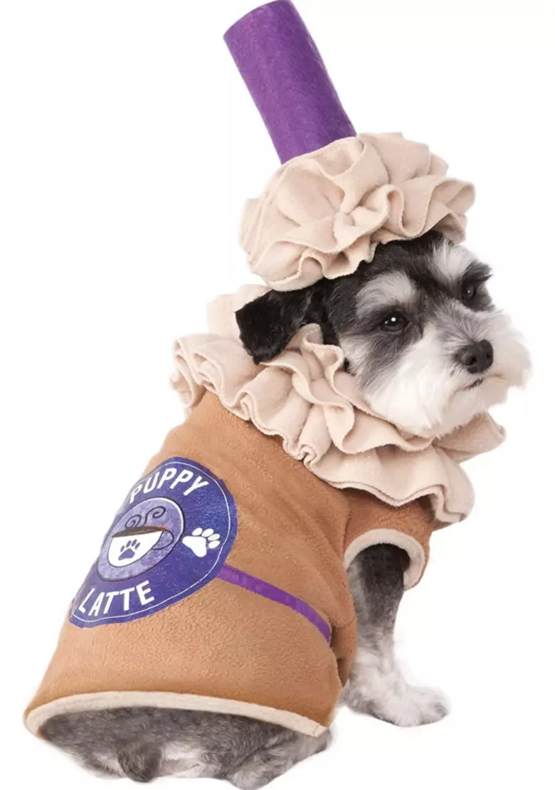 5 Cute Halloween Pet Costumes