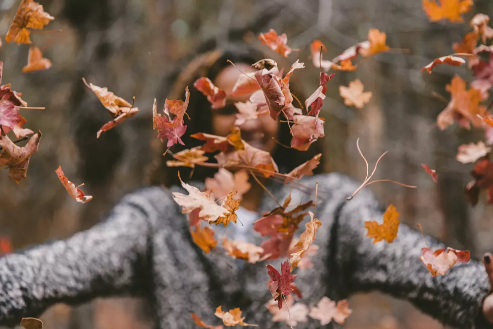 Are Americans Happiest During Fall?