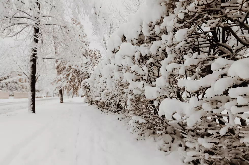 Is Michigan The #1 State Expected To Have A White Christmas?