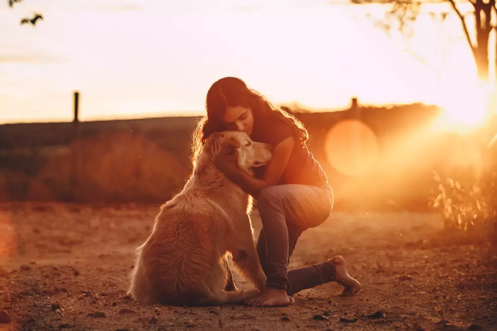 You Can Thank Women For &#8216;A Man&#8217;s Best Friend&#8217;
