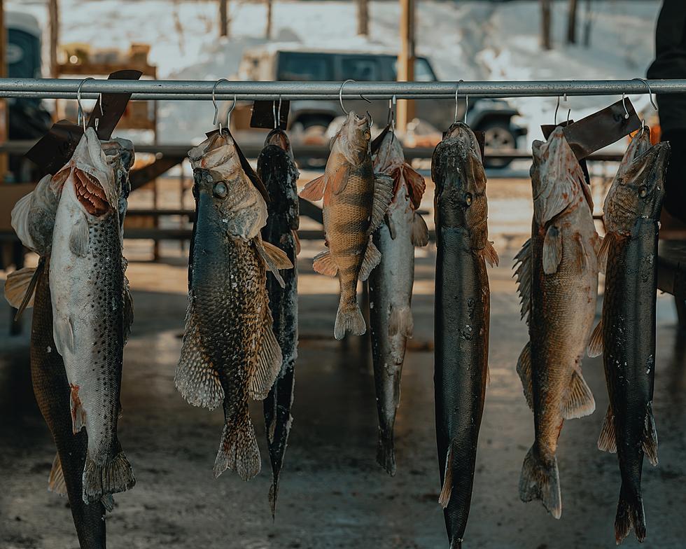 Michigan Men Owe $8.5K For Poaching Hundreds of Fish