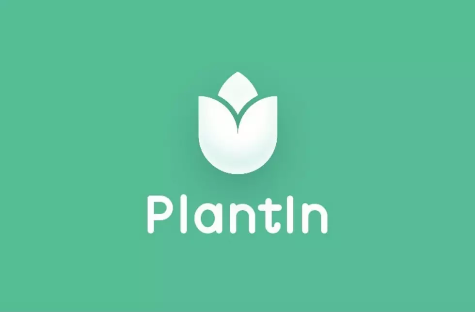 PlantIn App/Erica Gray