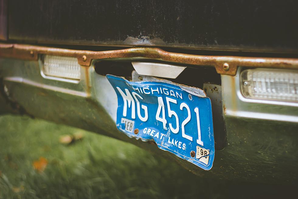 Michigan Senate Extends License Plate and ID Renewals