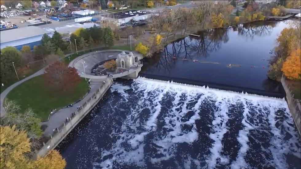 You Can Watch Salmon Swim Up the Grand River in Lansing This Fall