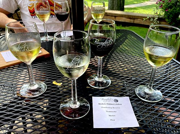 Calling All &#8216;Wine-O&#8217;s': Have You Been to this Winery in Haslett?
