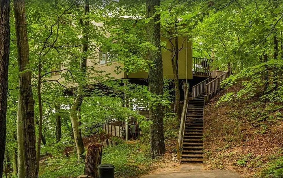 Grab 10 Friends and Stay in This Enchanted Michigan Treehouse For Roughly $30 a Night