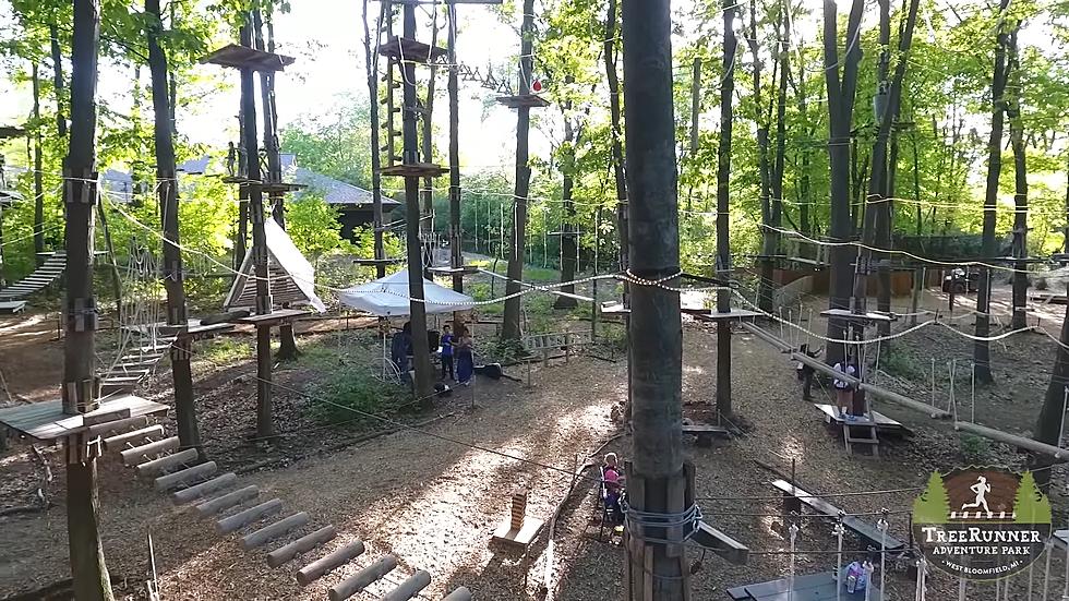You Can Swing Through the Trees at This Michigan Adventure Park