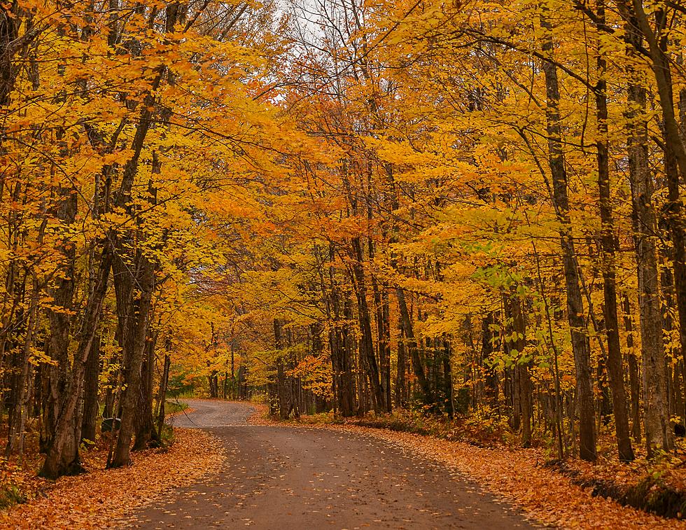 When You&#8217;ll See The Best Fall Colors in Michigan