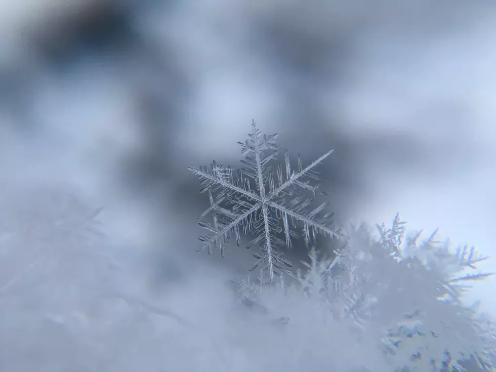 Dress Warm if You’re Watching the Spartans Play Tomorrow, Snow is Still in the Forecast for Lansing This Weekend