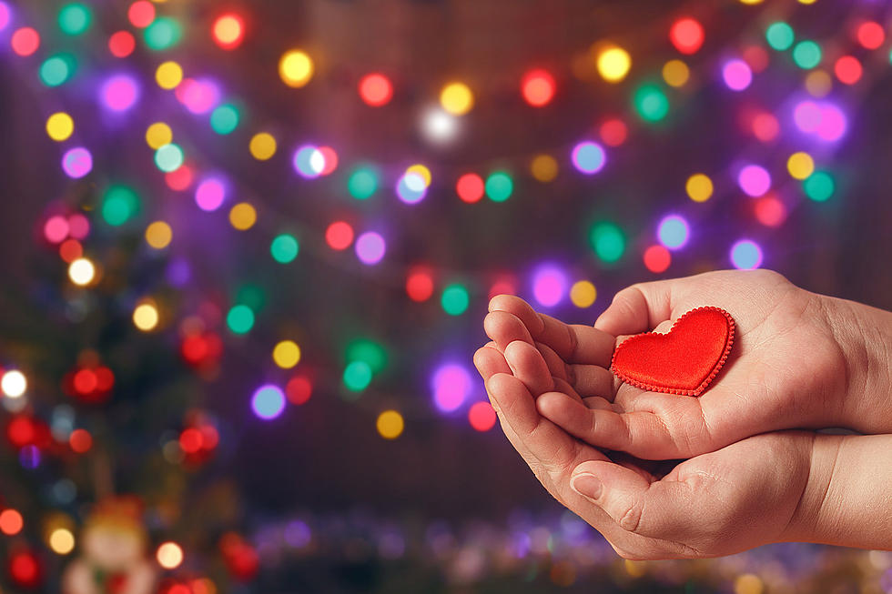 Feel Like Giving This Holiday Season, Michigan Charity Ideas for The Holidays