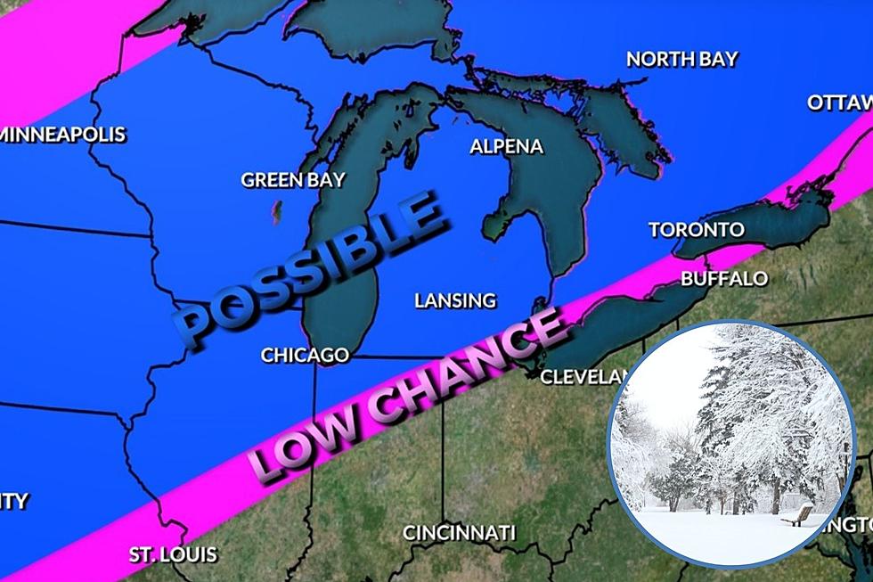 A Big Snow Storm Could Be in Michigan's Forecast Next Week
