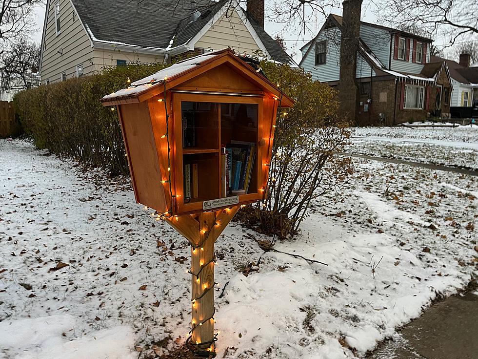 Do You Have One of These Adorable Little Libraries in Your Lansing Neighborhood?