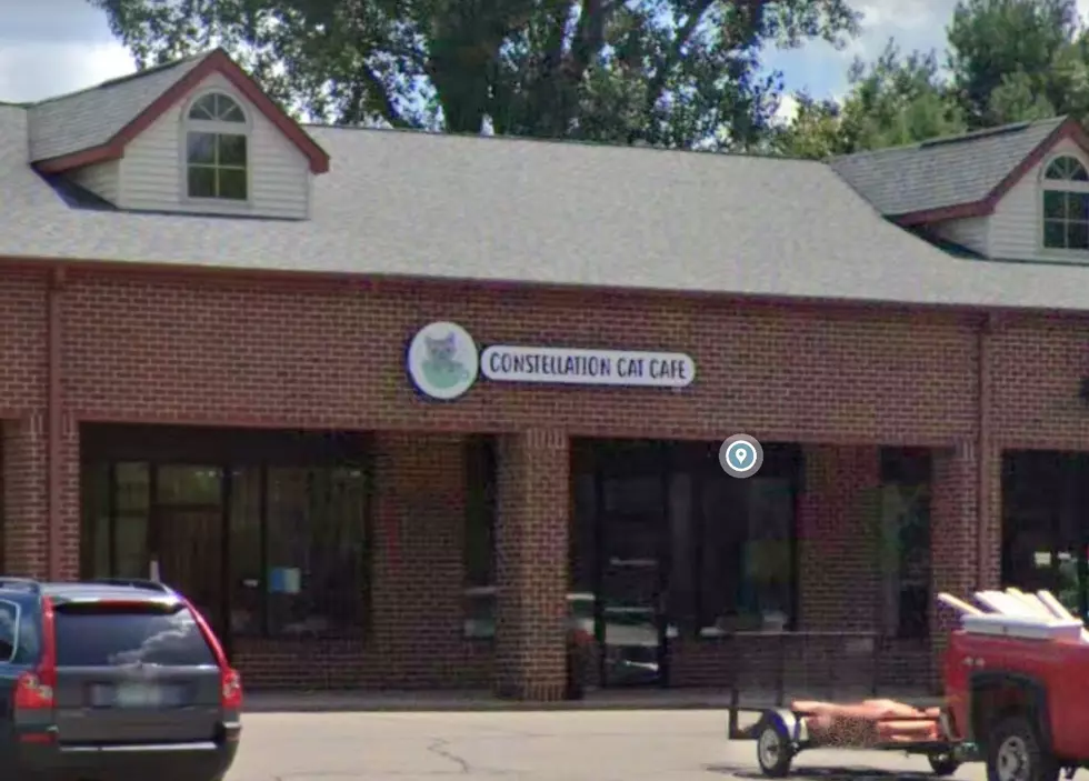Photo Courtesy of Google Maps