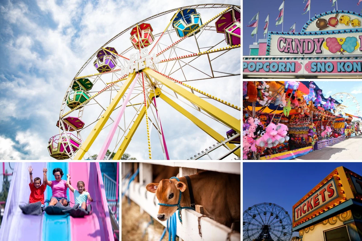 The Most Wonderful Michigan Fairs Less Than 2 Hours From Lansing