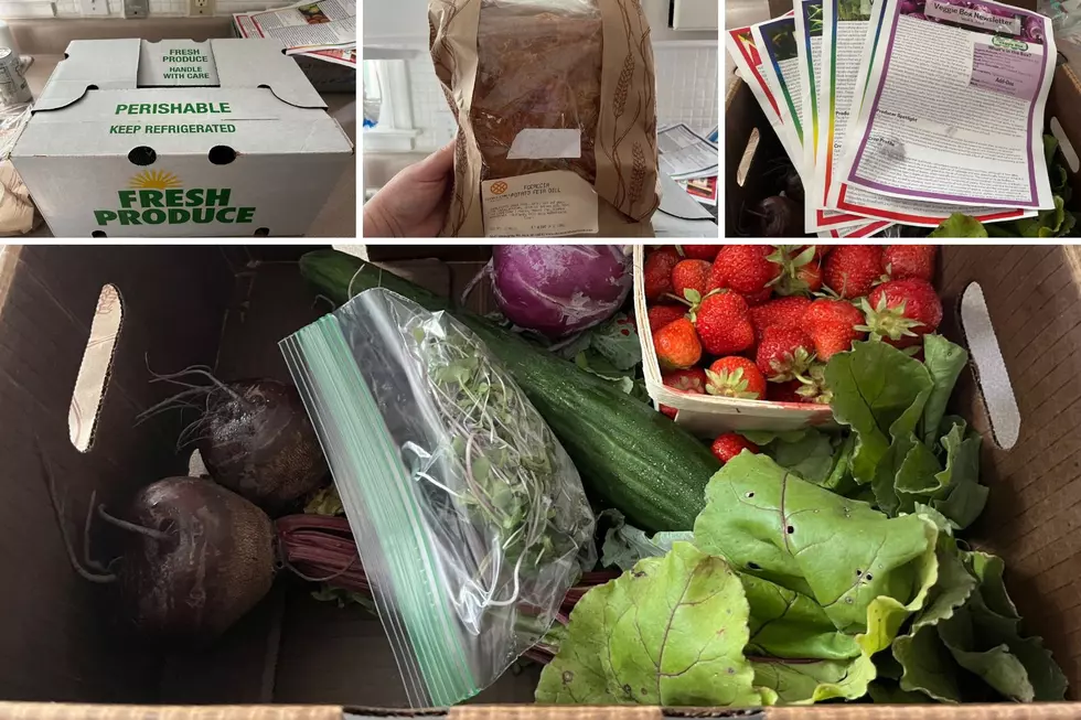 Support Your Lansing Community With a Neighborhood Veggie Box Subscription