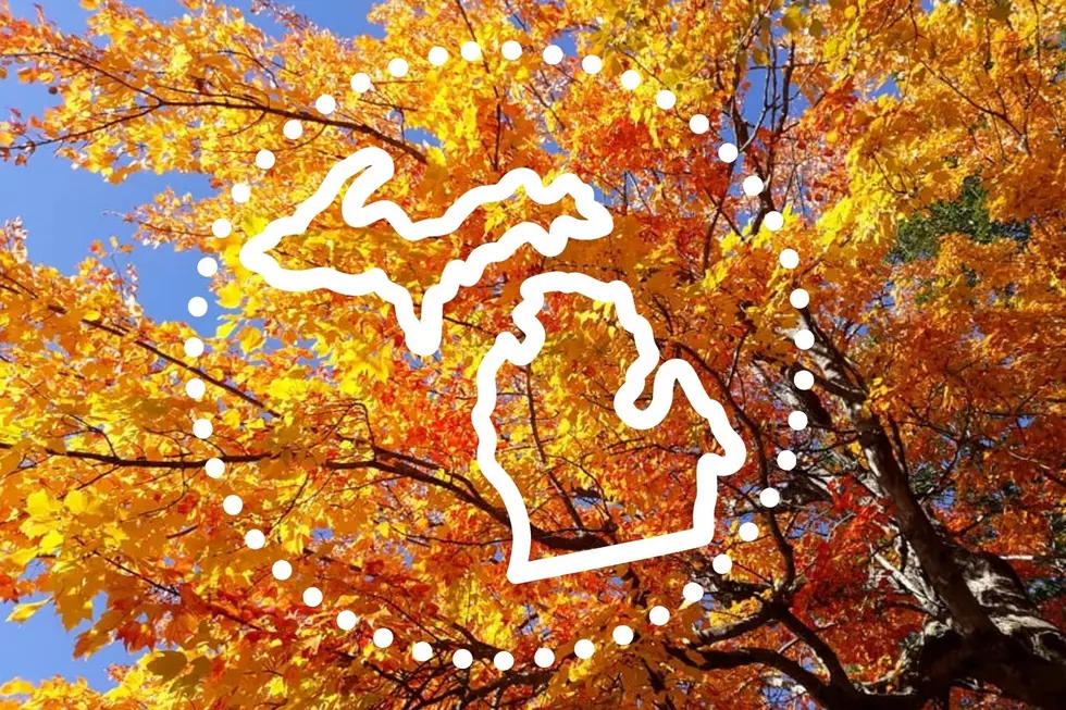 Michigan Location Picked Among Top 20 Best in US for Fall Colors
