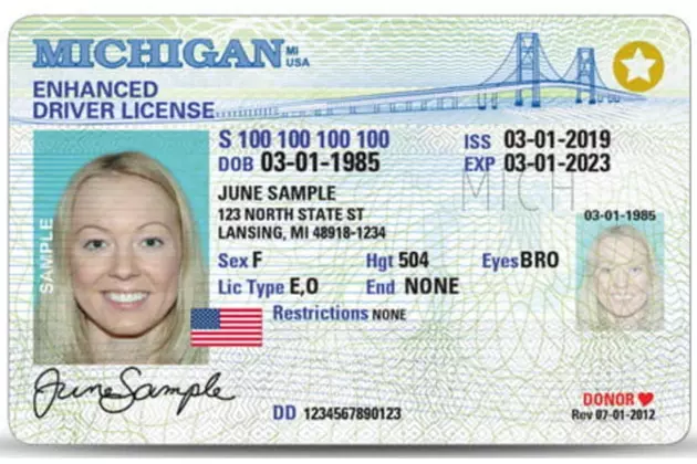 What is REAL ID? Enhanced driver's license? What you need to know to travel  next year 