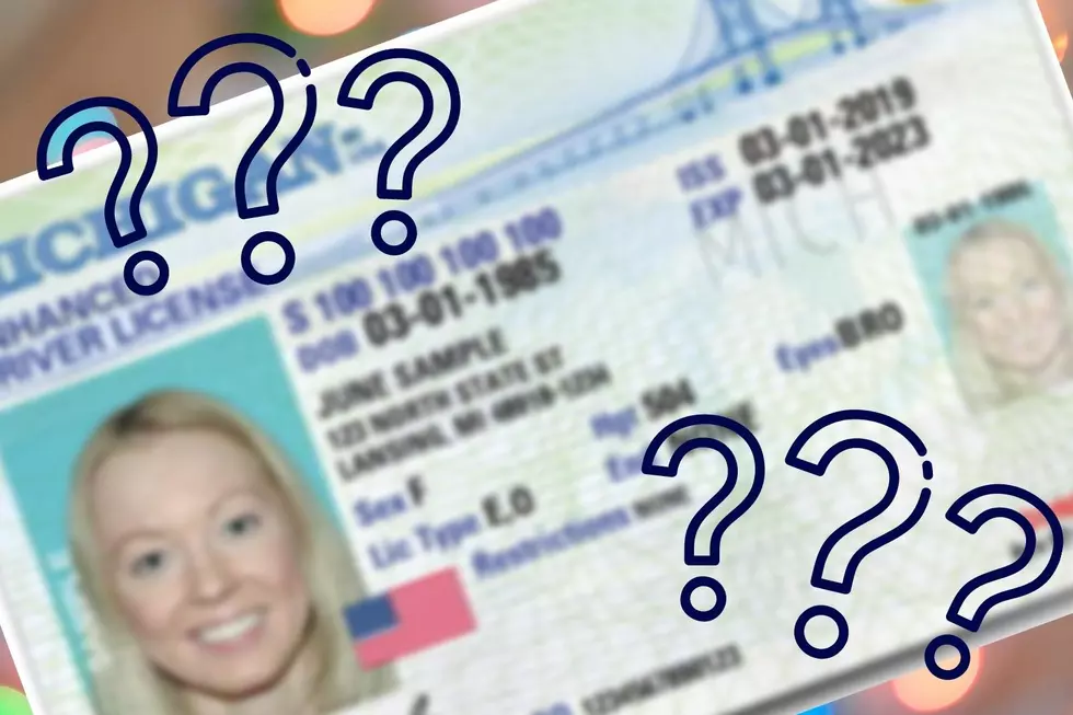 What’s the Difference Between Real ID & Enhanced ID in Michigan?